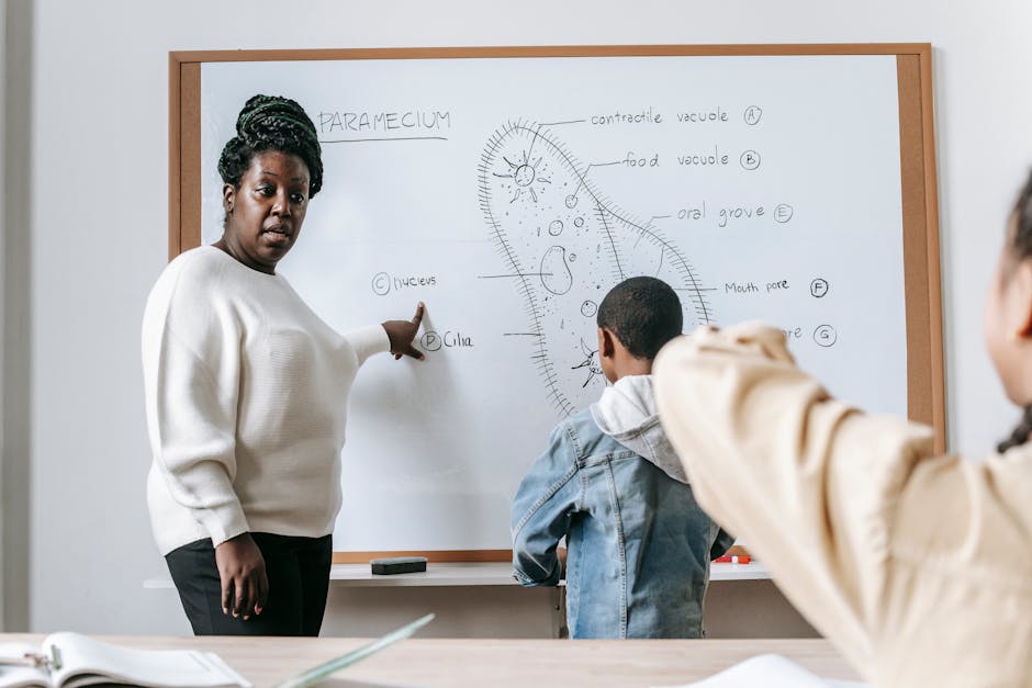 In Croazia arriva il divieto totale di cellulari in classe: una svolta educativa