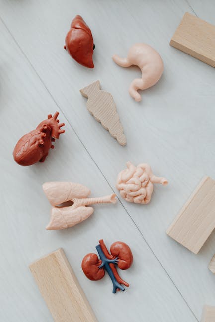 Rafforzare il sistema di assistenza sanitaria integrativa per il personale scolastico: una priorità di Anief