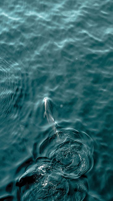 Performance in matematica nei licei del Nord Italia: oltre la media europea