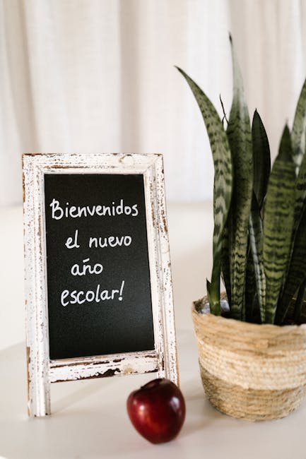 Lavagna con scritta Bienvenidos el nuevo año escolar e mela rossa, simbolo inizio scuola Santa Eulària 2027-2028