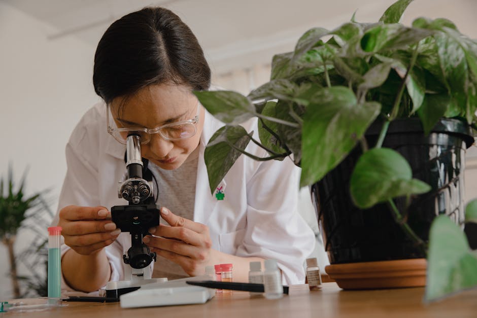 Ecco perché il professore Schettini ha i capelli dritti, il commento di Valentina Petri che svela il mistero — approfondimento e guida