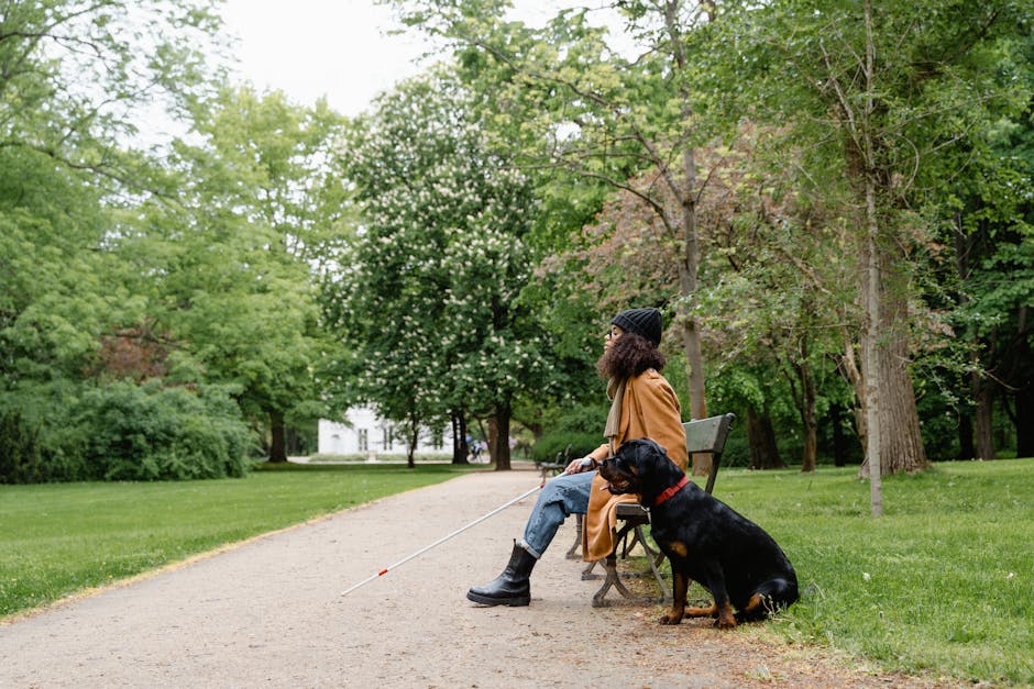 Donna non vedente con cane guida seduta su panchina in parco, accessibilità servizi NoiPA per personale ATA e docenti