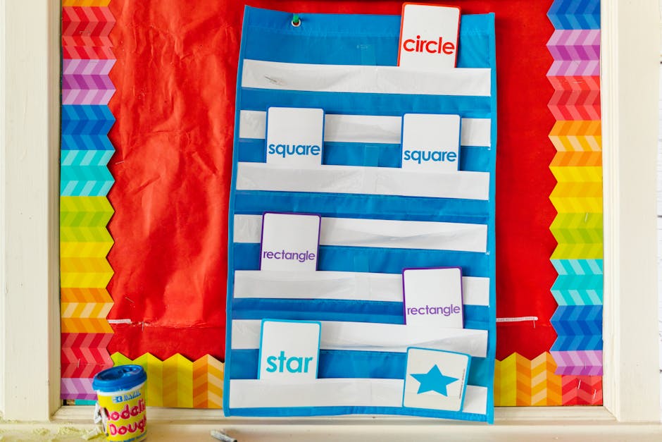 Manovra 2026: Risorse per una scuola primaria a Vibo Valentia e altri progetti sul territorio