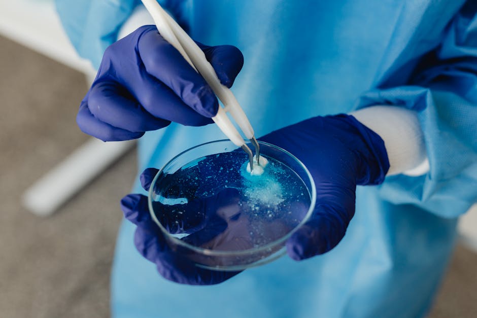 Termini e procedure per lo scioglimento della riserva nei Concorsi docenti PNRR 3