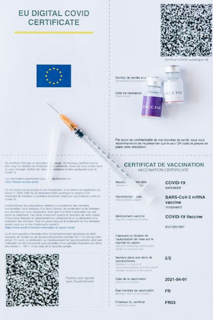 Riforma della disabilità: dal 1° marzo entra in vigore il nuovo sistema con certificato medico unico in 40 province