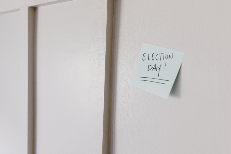 Elenchi regionali per le immissioni in ruolo docenti 2026/27: novità, partecipanti, precedenze e riserve. SCARICA LA GUIDA