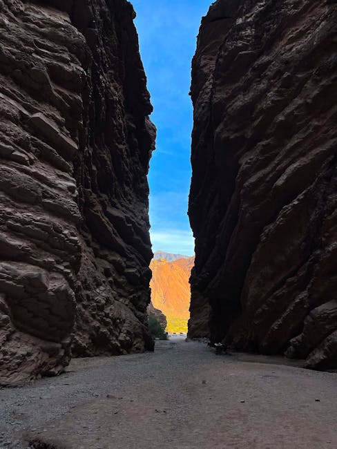 Pittoni (Lega): "Promuovere un approccio continuo alla valutazione tra gli studi"