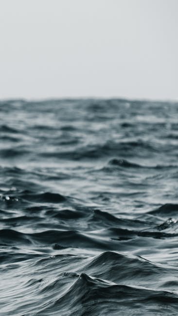 Stato attuale delle procedure GPS, GaE e più: aggiornamenti e questioni aperte