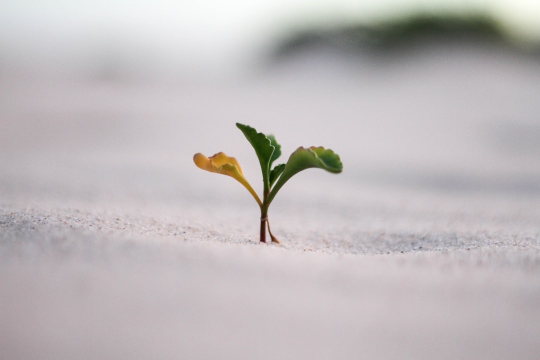 Valorizzare la Propria Unicità: Strumenti e Strategie per Crescita Personale e Collettiva