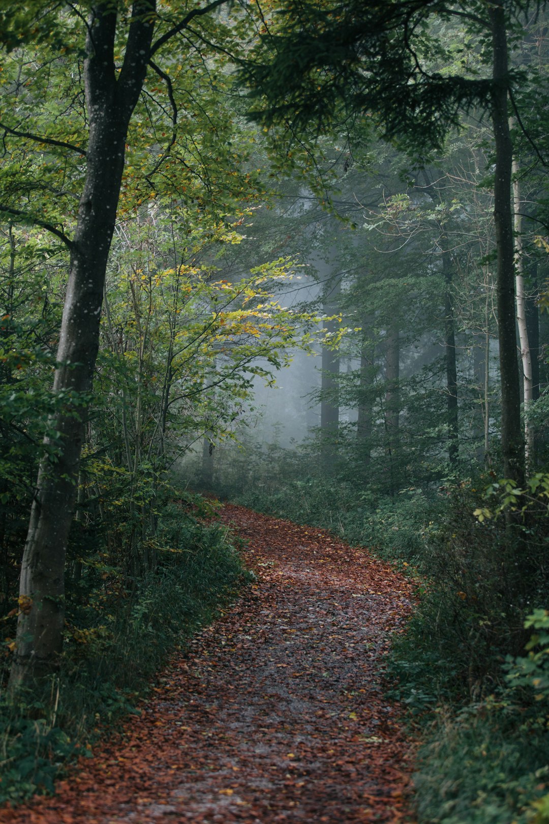 Frasi Uniche di un Insegnante di Sostegno: Illuminare il Cammino Educativo
