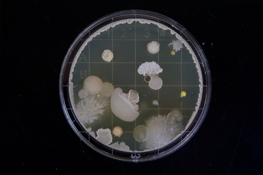 Scoprire le Prove Strutturate di Scienze della Terra: Un Approccio Innovativo per l'Apprendimento