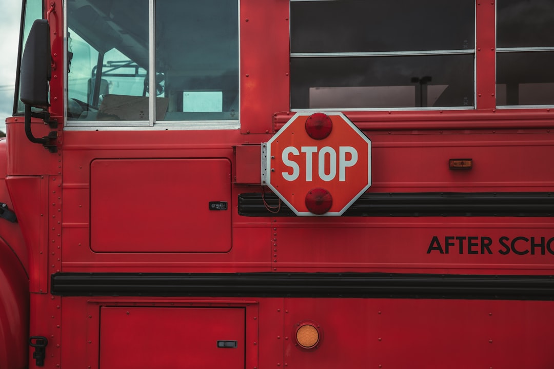 Modello di regolamento per il welfare delle gite scolastiche: scaricalo ora