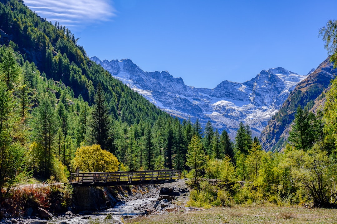 Graduatorie ad esaurimento Valle d’Aosta: scadenze e modalità per lo scioglimento della riserva e il sostegno