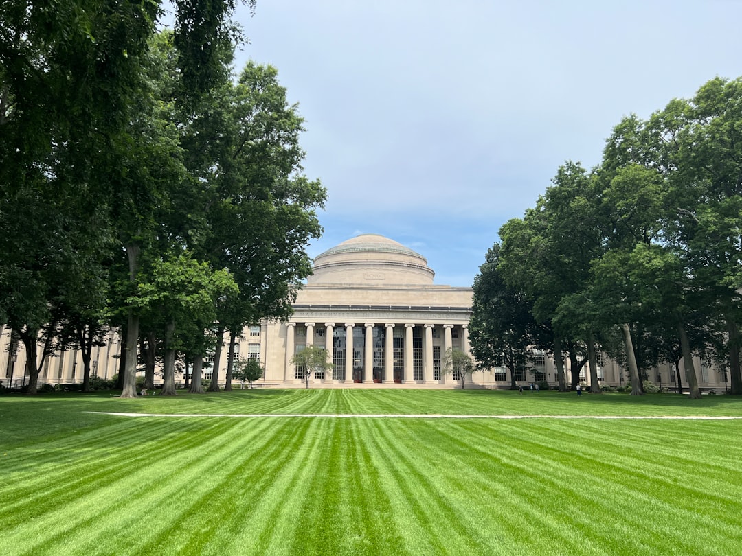 Intelligenza Artificiale nelle università americane: boom delle lauree magistrali in IA e calo dell’informatica di base