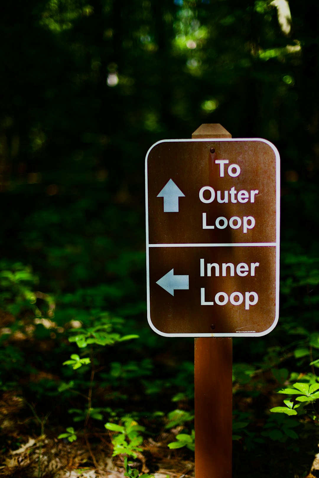 Cartello stradale con indicazioni per Outer Loop e Inner Loop in un bosco