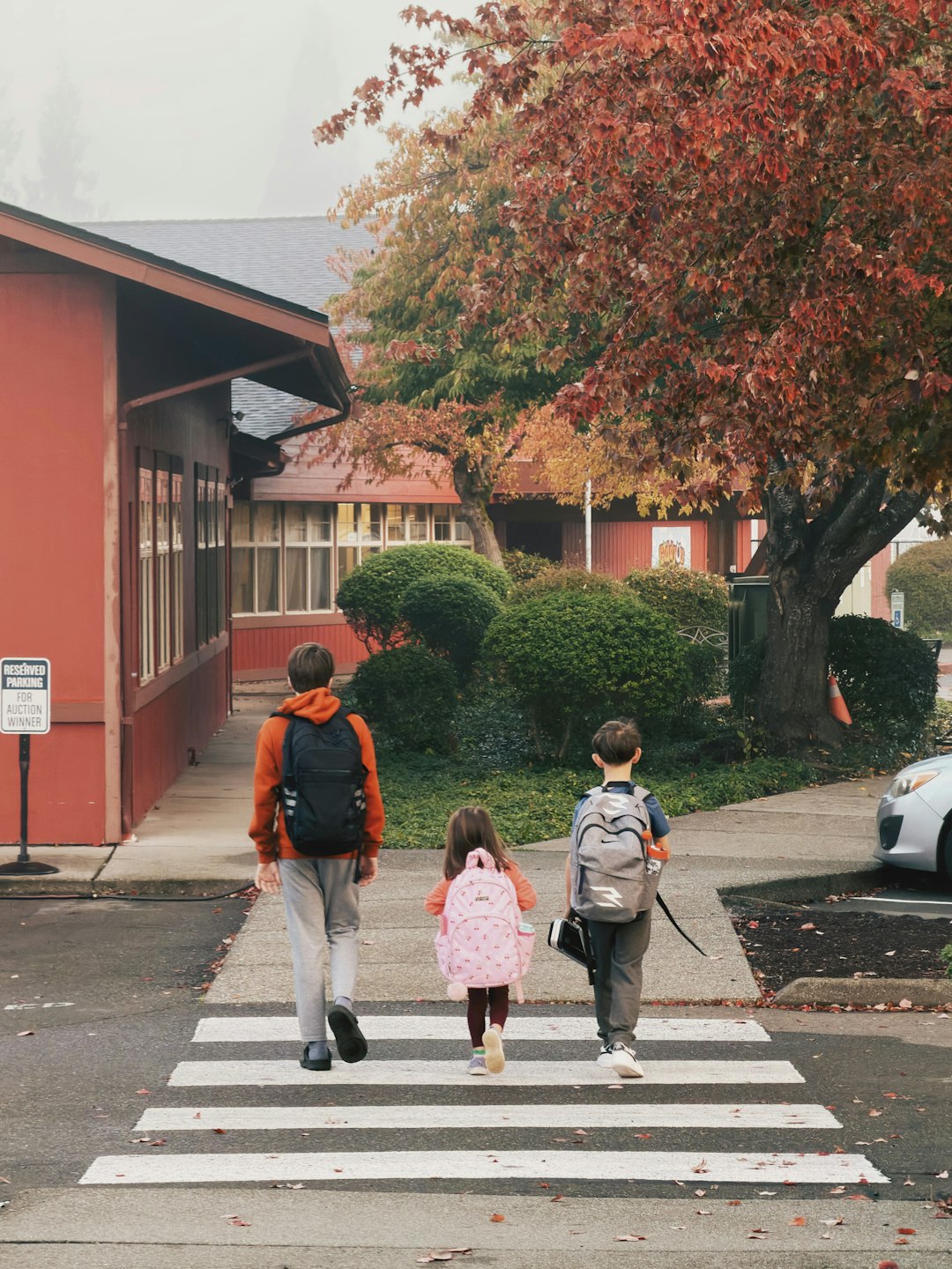 Educazione civica al volante nelle scuole: percorsi concreti per maturità e consapevolezza