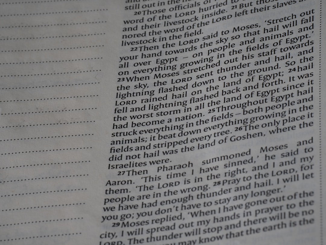 Carta d’identità cartacea addio: dal 3 agosto 2026 non sarà più valida, nemmeno se non è scaduta — approfondimento e guida