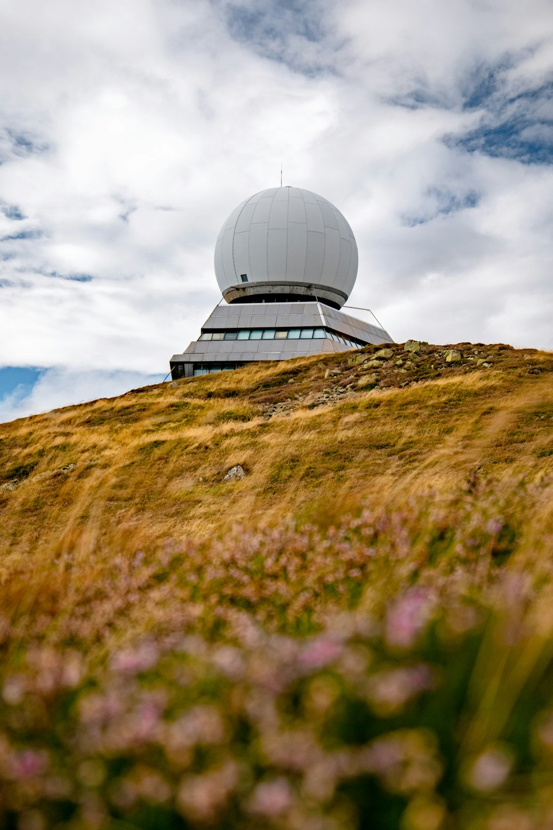 Ritiro sociale e Hikikomori: la proposta di un Osservatorio Nazionale e di un fondo di 50 milioni all’anno